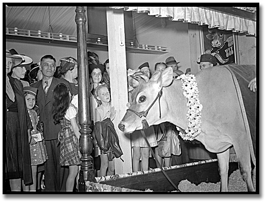 Photo: Children with Elsie the cow at the Canadian National Exhibition, [ca. 1941]