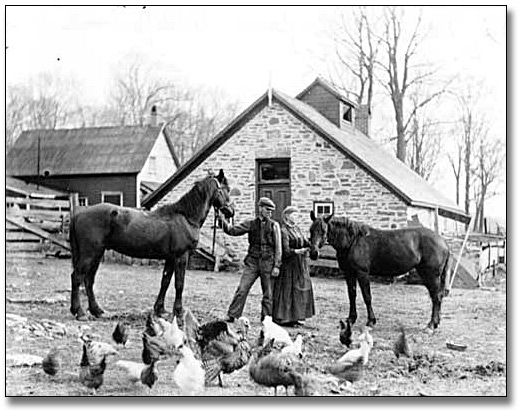 Photo: MacDonell farm, [between 1898 and 1920] 