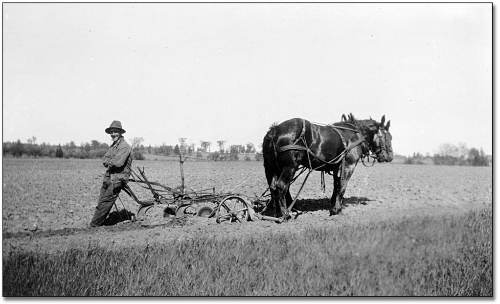 Photo: A man rests against a horse-drawn harrow, [between 1900 and 1920]