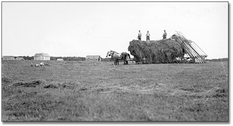 Photographie : Loading hay, Thunder Bay District, 1878