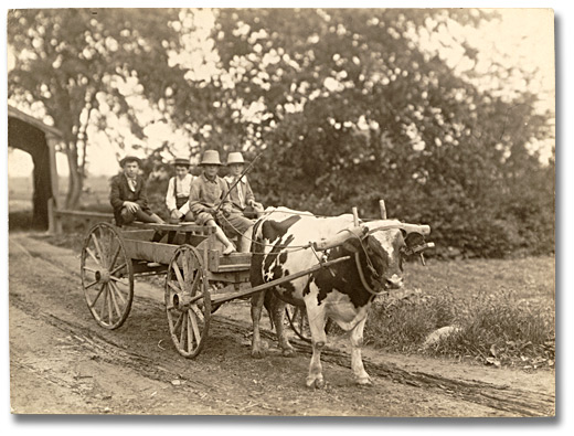 Photo: Farm boys taking a ride on a cart, 1907