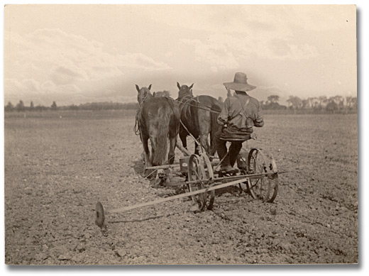 Photographie : Planting with a dual seeding machine, 1919