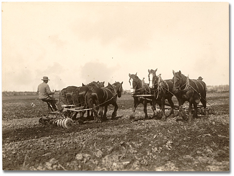 Photo: Disking a field, 1910 