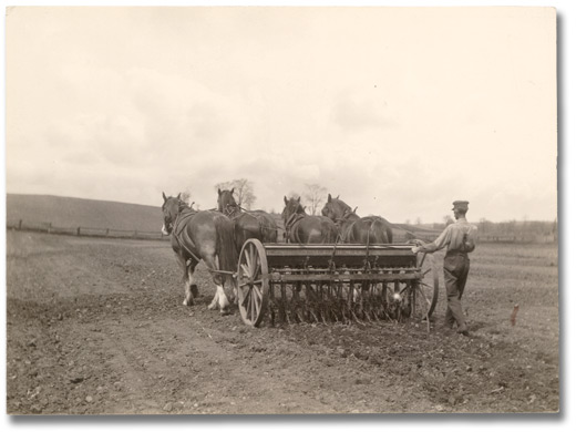 Photographie : Sowing spring wheat, 1919