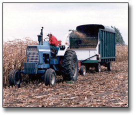 Photo: Farmer harvesting corn, Guelph area, October 9, 1987