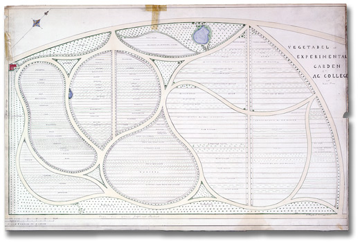 Landscape Plan: Vegetable and experimental garden of the Agricultural College and Model Farm in Guelph, [ca. 1874]