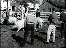 Video Clip: 4-H Interclub Competitions, [1955?]