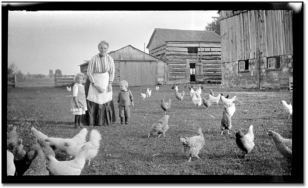 Photographie : Femme et deux jeunes enfants se tenant dans la cour d’une ferme avec des poules, [vers 1900]