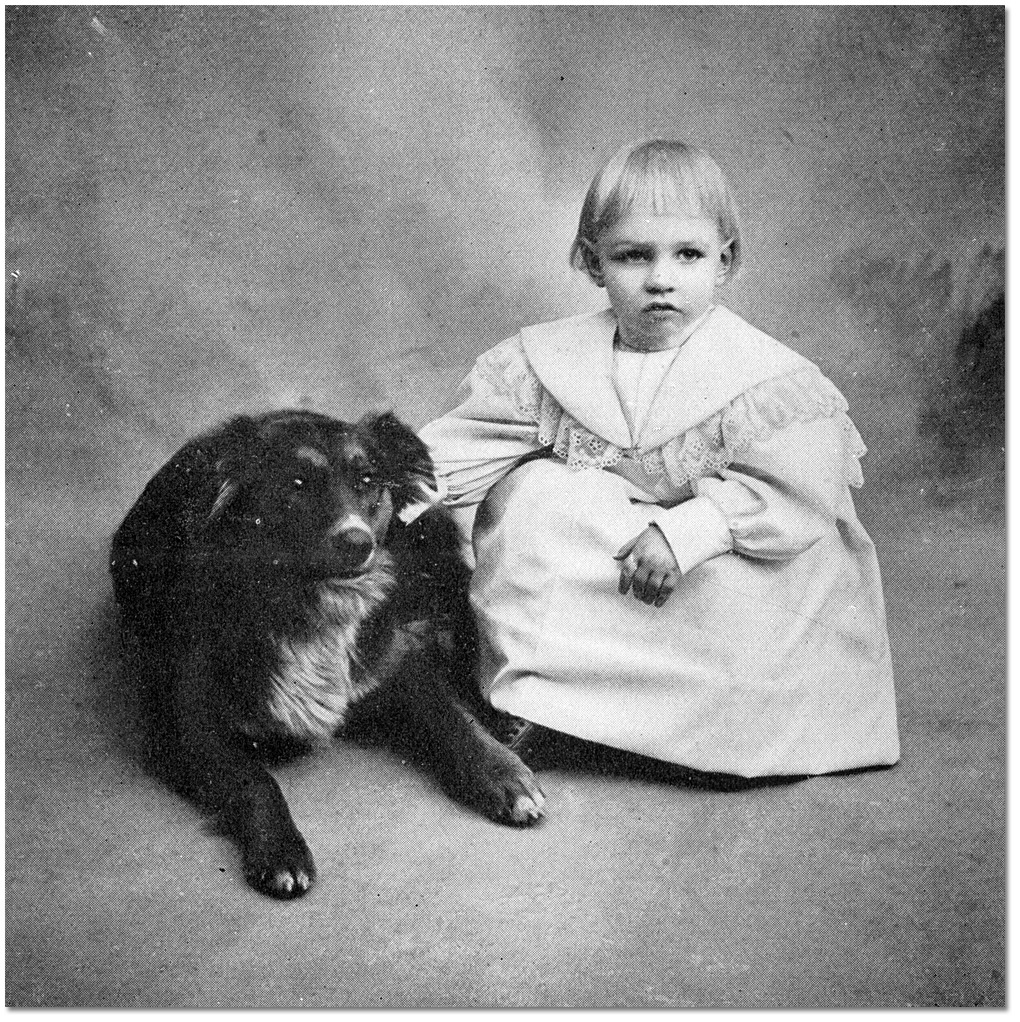 Portrait d’une jeune enfant à côté d’un chien, [entre 1900 et 1920]