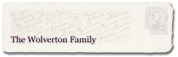 The American Civil War and Fenian Raids: The Wolverton Family - Page Banner