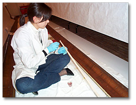 Photo: Conservator Repairing Panorama Frame