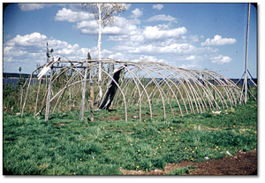 Photo: Dancing and feasting lodge, Sandy Lake, 1956