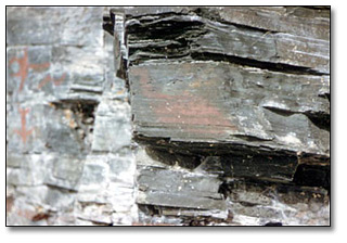 Indian pictograph site in Ferris Lake, Mond Township between Mattagami Lake and Matachewan, September 26, 1958