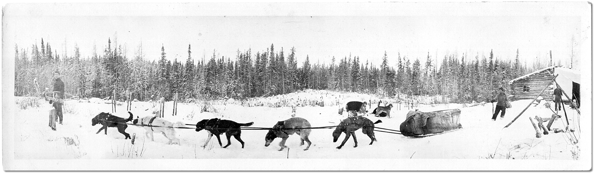 Photographie : Hommes et traîneau a chiens [vers 1915]