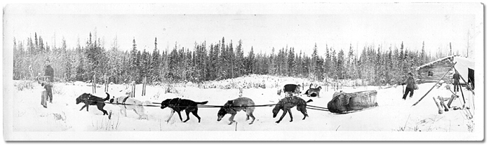 Photo: Men with sled dogs, [ca. 1915]