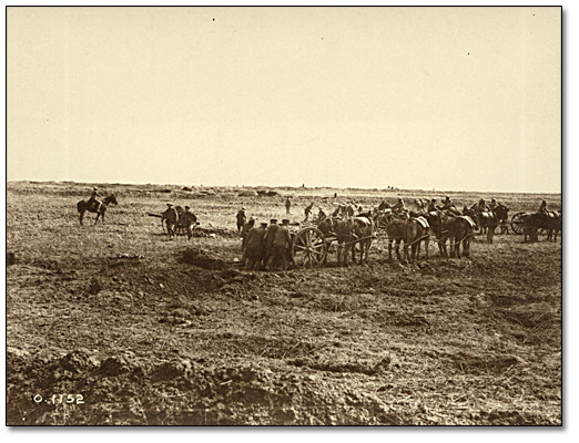 Photographie : La prise de la crête de Vimy. L’artillerie de campagne canadienne amène les canons vers le front, 1917 