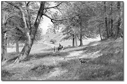 Huile sur toile : [Le chemin parmi les hêtres], 1894