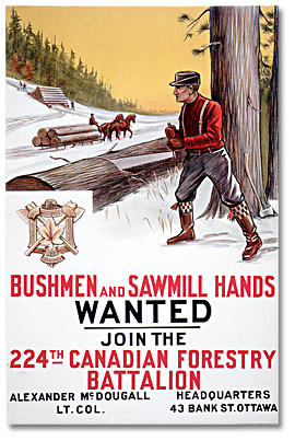 Affiche de guerre -  Recrutement : Bushmen and Sawmill Hands Wanted [Canada], [entre 1914 et 1918]