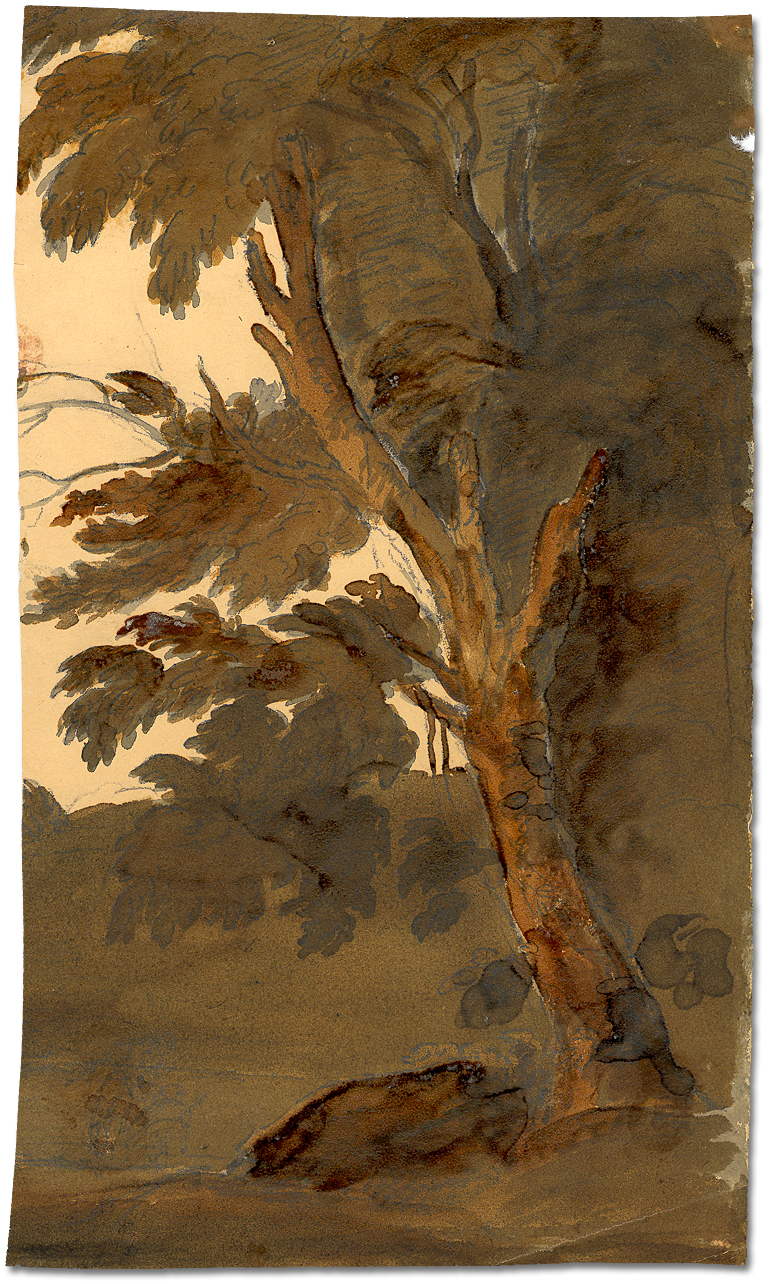Watercolour: Tree [fragment]