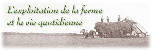 Les Archives publiques de l&#8217;Ontario c&eacute;l&egrave;brent notre histoire agricole : L’exploitation de la ferme et la vie quotidienne - bannière