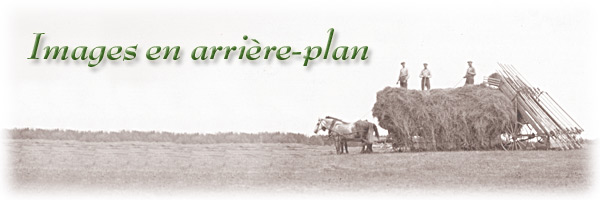 Les Archives publiques de l’Ontario célèbrent notre histoire agricole : Images en arrière-plan - bannière