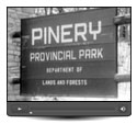Regardez - Le  Régiment royal canadien fait un recensement des cerfs au parc provincial The Pinery