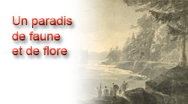 Allez à : Un paradis de faune et de flore