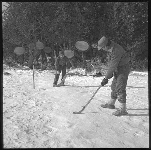 Des garçons de Moose Factory jouent au hockey dans un camp d’hiver. On aperçoit des peaux de castor à l’arrière. 1959