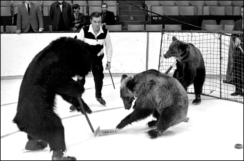 Moscow Bears on Ice, Maple Leaf Gardens, Toronto
