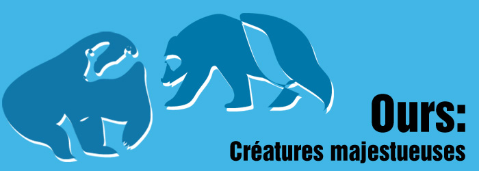 Ours : créatures majestueuses