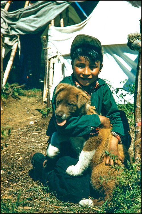 Un garçon tenant un chiot dans ses bras