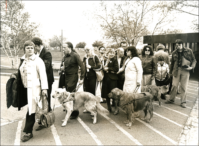 Personnes souffrant d’une perte de vision et chiens-guides devant le bureau national de l’INCA, 14 mai 1981 