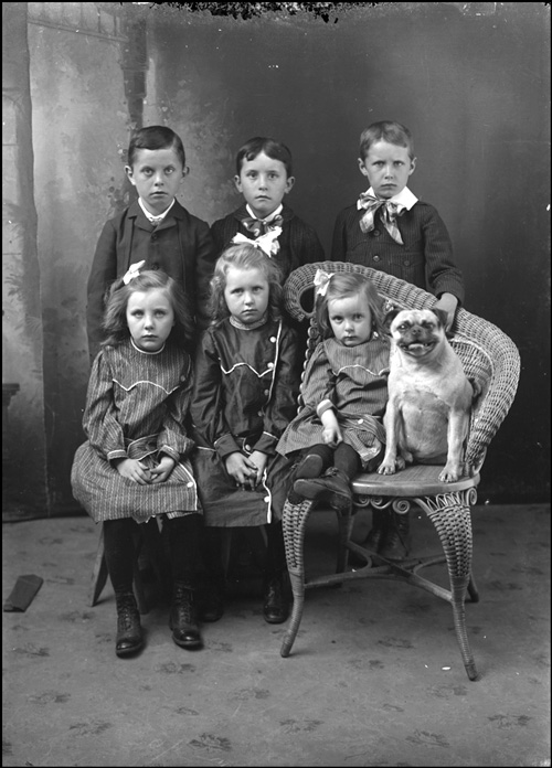 Three seated girls, three standing boys, and a dog, [1895-1910]