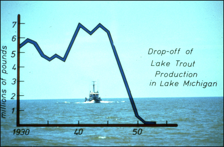 Baisse de production du touladi dans le lac Michigan
