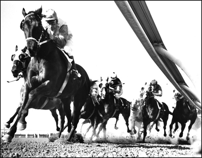Horses and jockeys, Queen’s Plate at Woodbine Racetrack