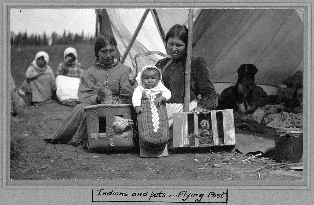 Indiens et animaux de compagnie - Flying Post [vers 1905]