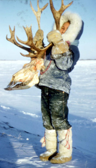 Garçon cri à Weenusk tenant un crâne de caribou