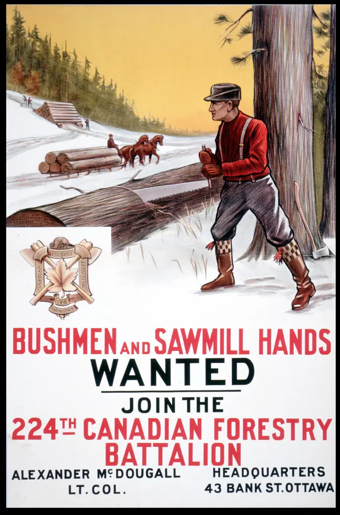 Affiche de recrutement représentant un homme qui scie une bille de bois en hiver.