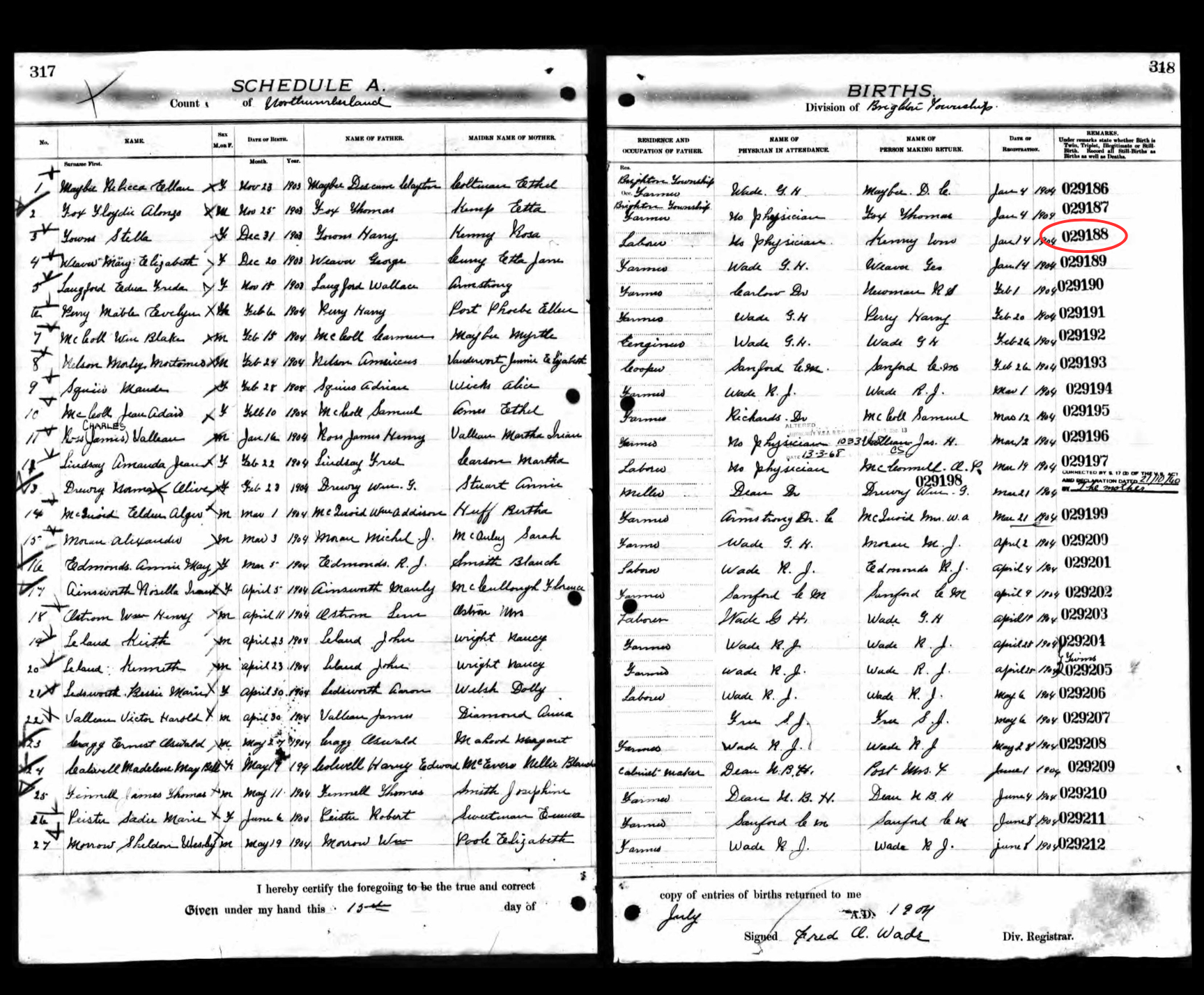 Black cursive writing filling out the lines of a register book.