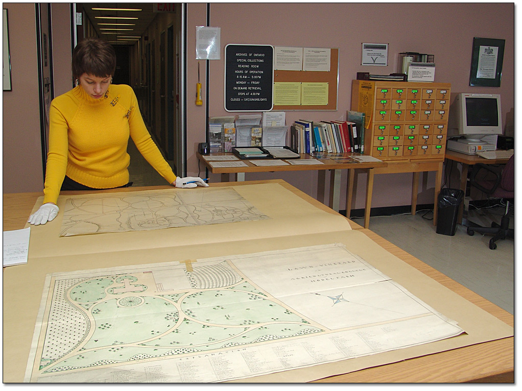 Photographie : Une chercheuse examine des dessins paysagers