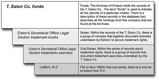 Example of Organizational Structure