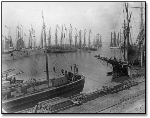 Photo: Ships in harbour, Port Dalhousie, [ca. 1870]