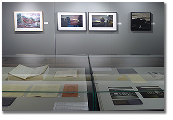 Photograph showing a view of the exhibit panels