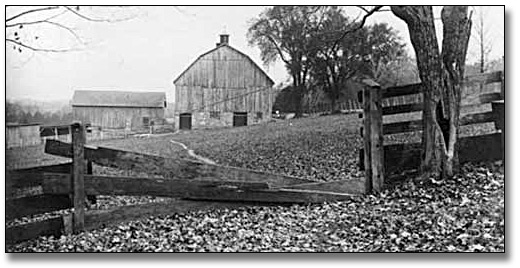 Photographie : [View of barn and farm buildings, beyond wooden fence on Blythe farm, near Fenelon Falls, Ontario], [vers 1948]