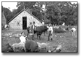 Photo: Alexander MacDonell's stone building [and farm], 1903