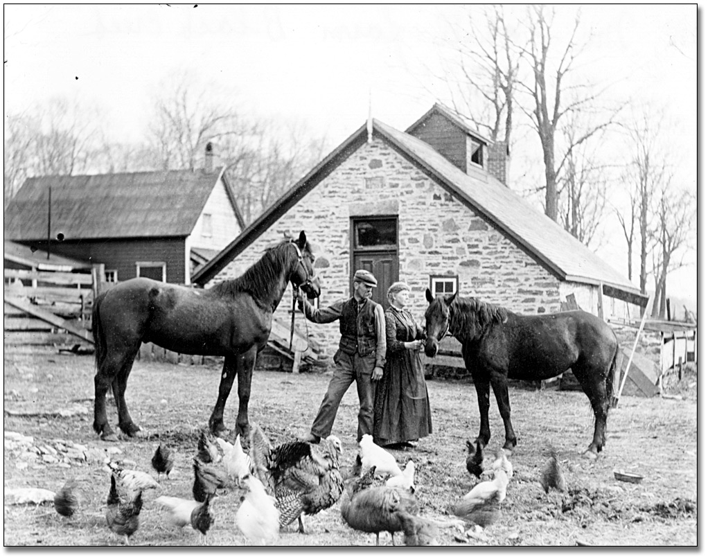 Photo: Two women and two men stand beside a horse-drawn harrow, [between 1900 and 1920]