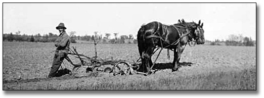 Photo: A man rests against a horse-drawn harrow, [between 1900 and 1920]