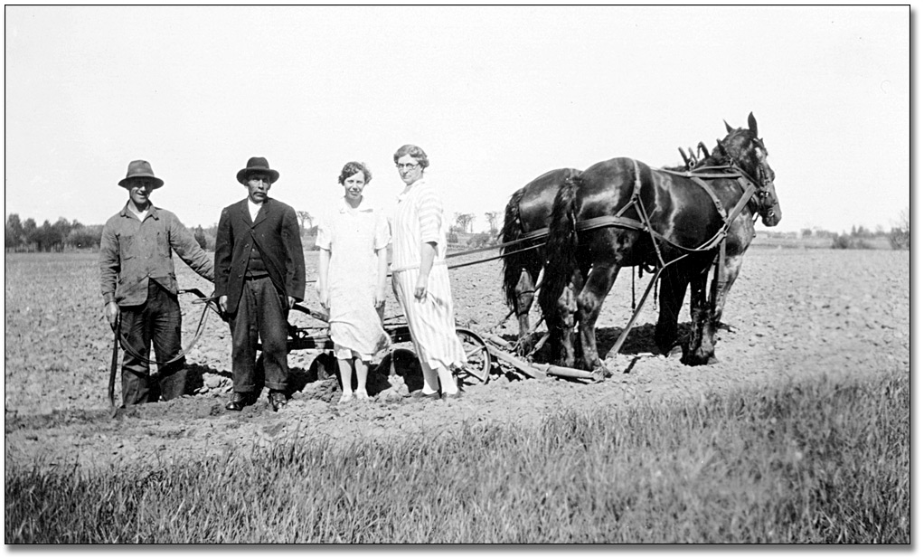 Photo: Two women and two men stand beside a horse-drawn harrow, [between 1900 and 1920]