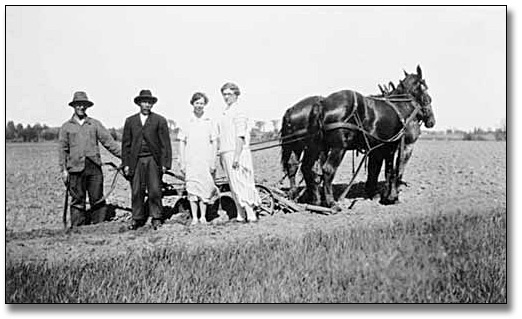 Photo: Two women and two men stand beside a horse-drawn harrow, [between 1900 and 1920]