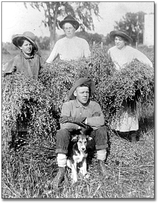 Photo: Farm workers with their harvest, 1915